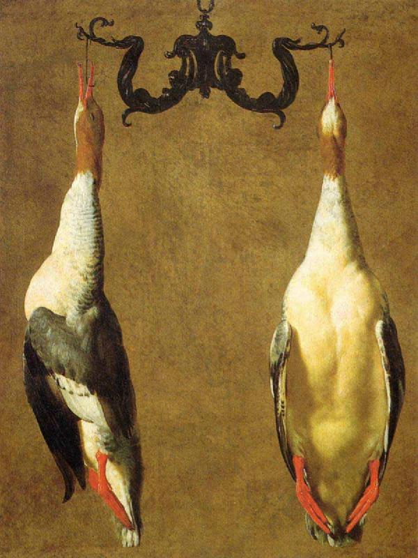 Dandini, Cesare Two Hanged Teals Germany oil painting art